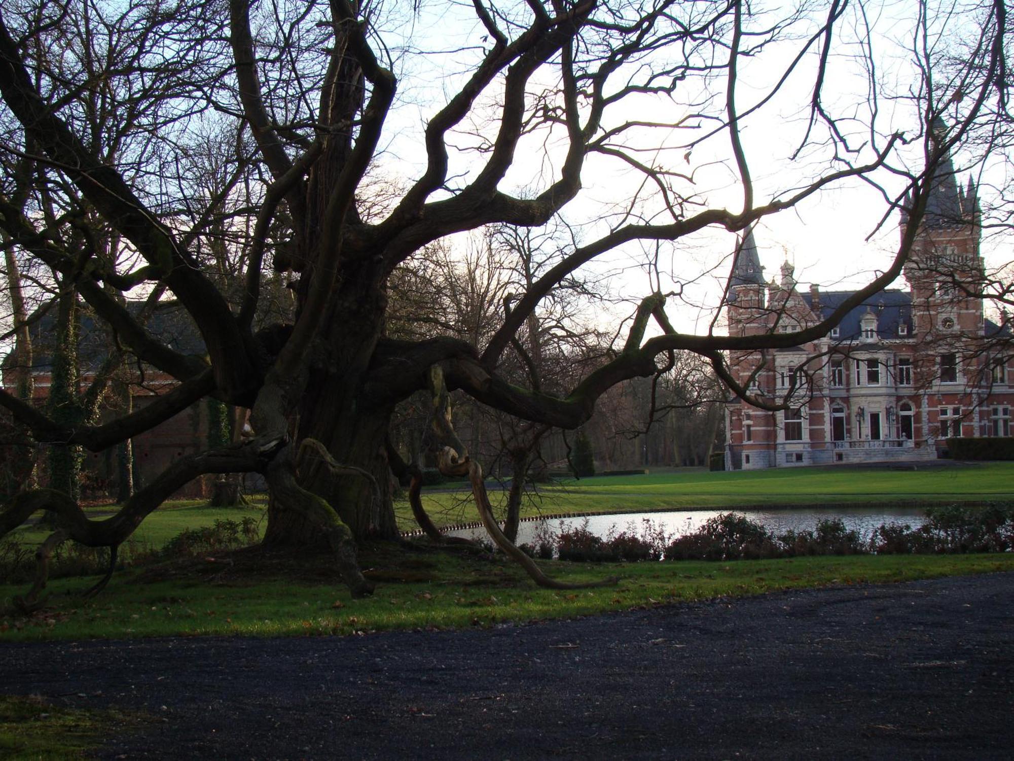B&B Sogni D'Oro Lovendegem Bagian luar foto