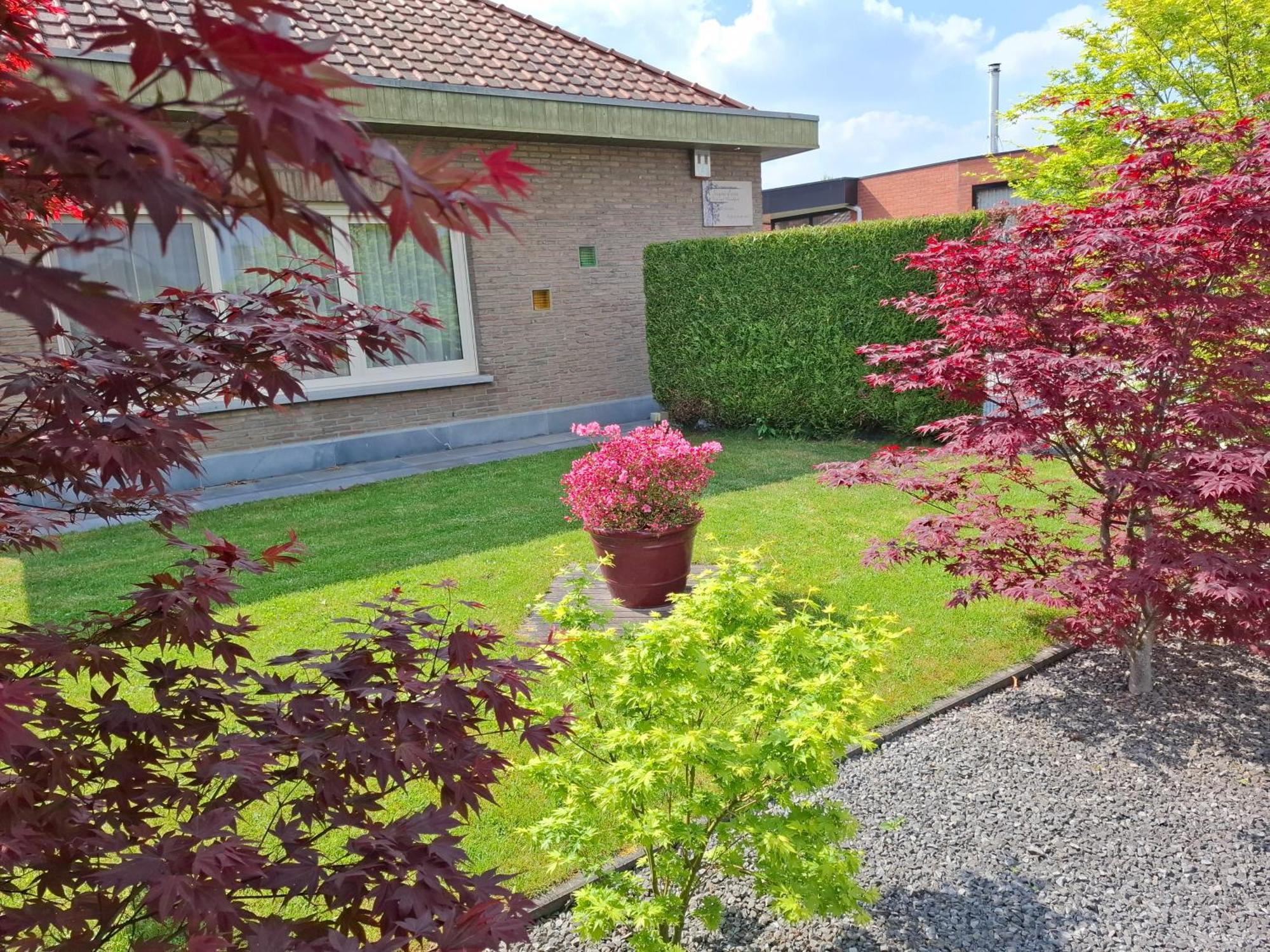 B&B Sogni D'Oro Lovendegem Bagian luar foto